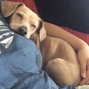 Meet your Posher, Theodora